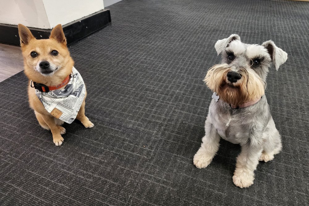 Your Side Cultural Environment